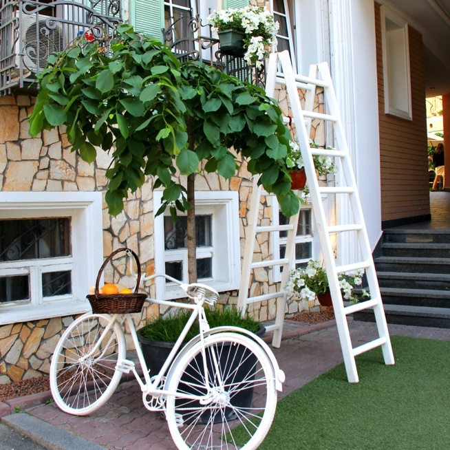 A White Ladder in a Garden